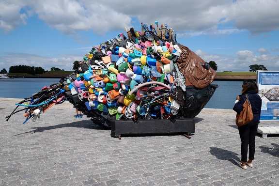 Junk fish