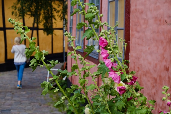 Flower street