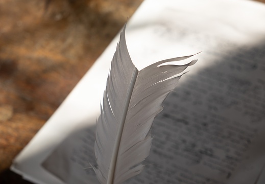 Feather Pen