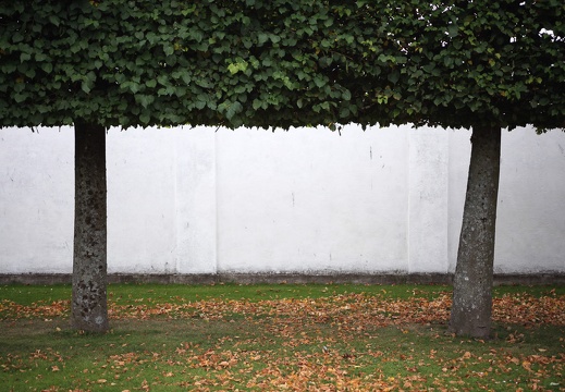 Green, white, orange