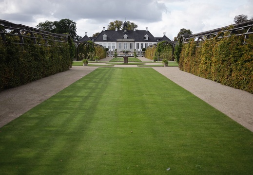 Green lawn