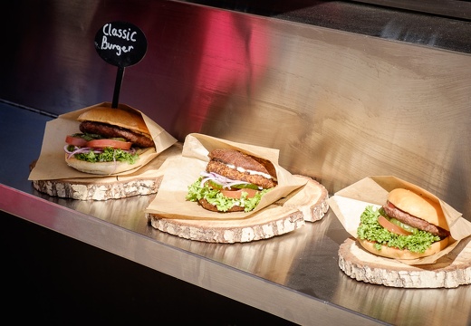 Camp Adventure Denmark