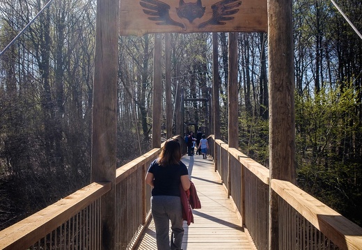 Camp Adventure Denmark