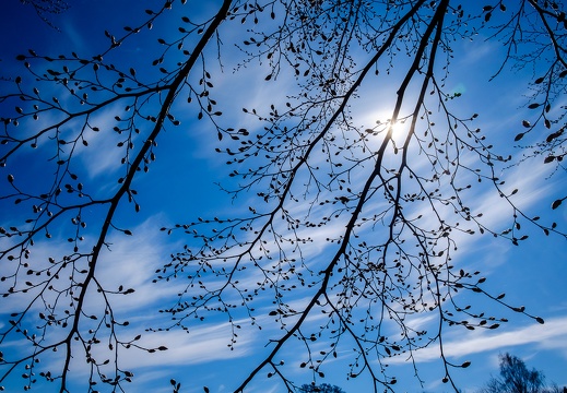 Camp Adventure Denmark