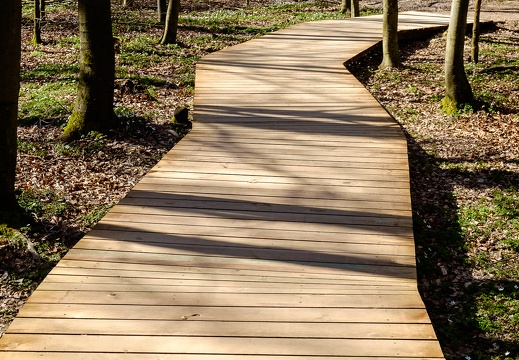 Camp Adventure Denmark