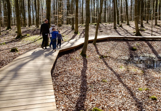 Camp Adventure Denmark