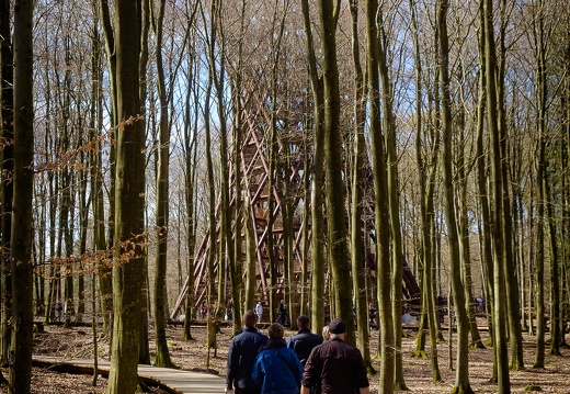 The Forest Tower