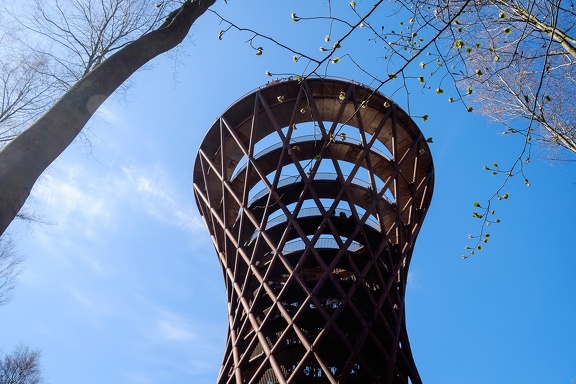 The Forest Tower