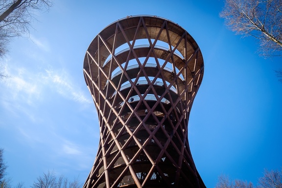 The Forest Tower