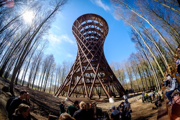 The Forest Tower