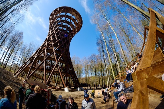 The Forest Tower
