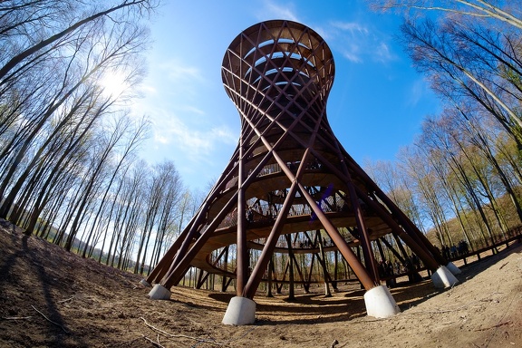 The Forest Tower