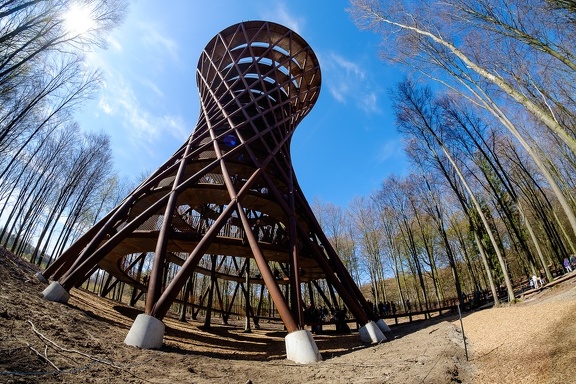 The Forest Tower
