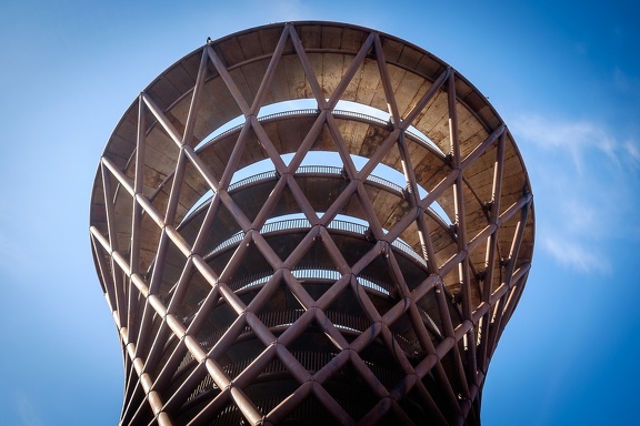 The Forest Tower