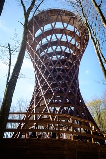 The Forest Tower