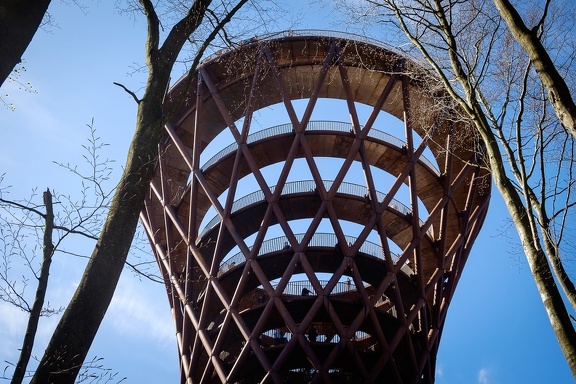 The Forest Tower