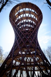 The Forest Tower