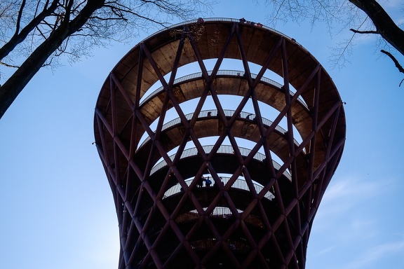 The Forest Tower