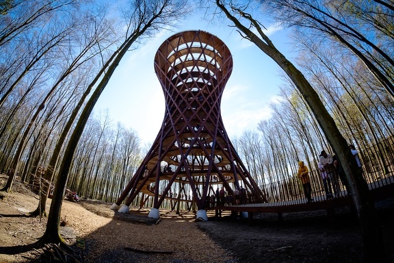 The Forest Tower