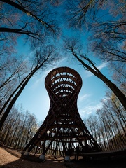 The Forest Tower