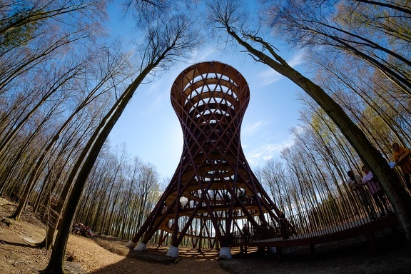 The Forest Tower