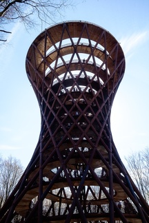 The Forest Tower