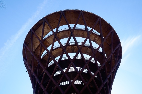 The Forest Tower