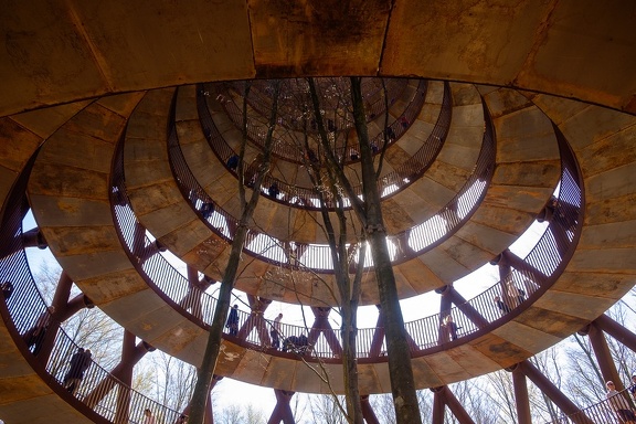 The Forest Tower