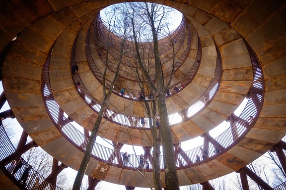 The Forest Tower