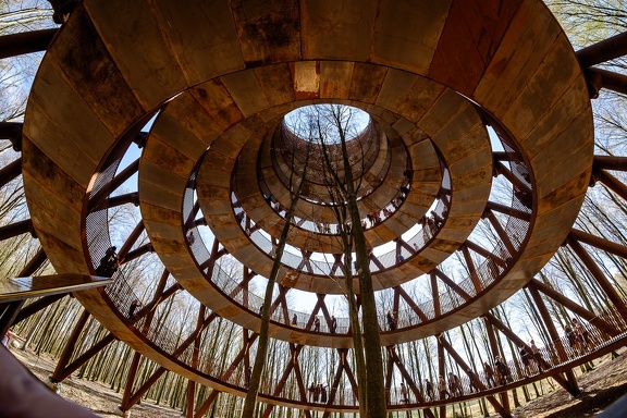The Forest Tower