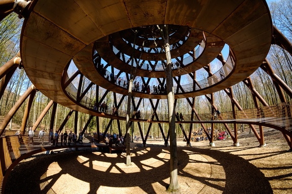 The Forest Tower