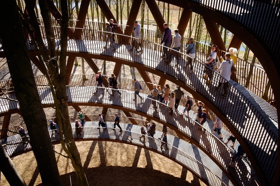 The Forest Tower