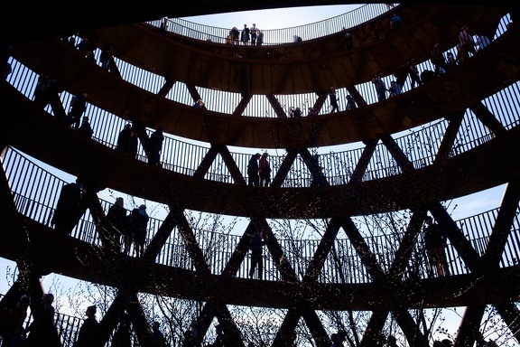The Forest Tower