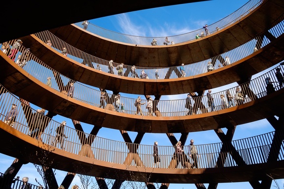 The Forest Tower
