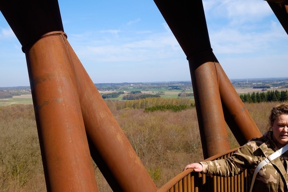 The Forest Tower