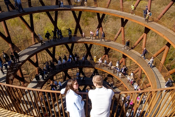 The Forest Tower