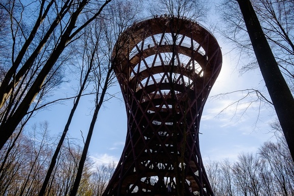 The Forest Tower