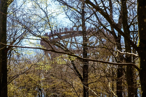 The Forest Tower
