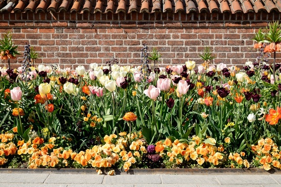 Square Garden