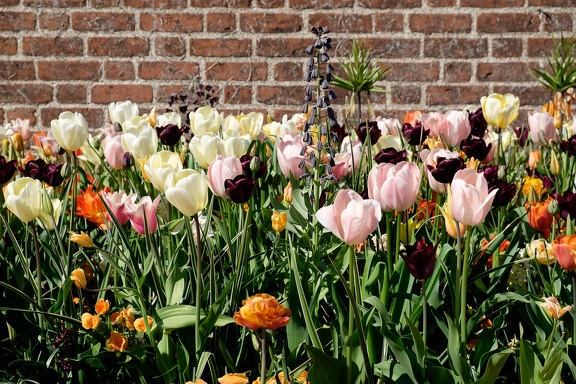 Square Garden