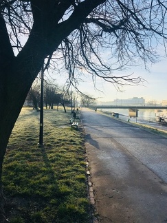 Morning light