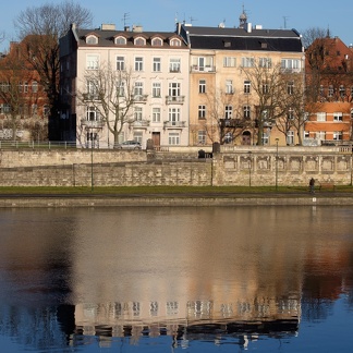 River Reflection