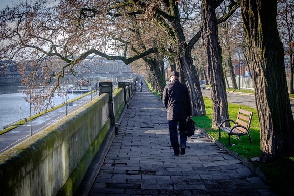 Morning Walkers