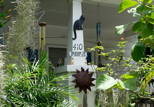 Beware of attack cat