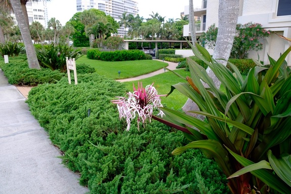 4005 Gulfside