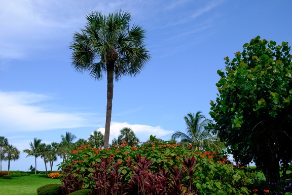 Private Garden