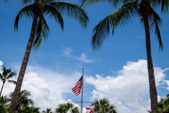 Naples FL