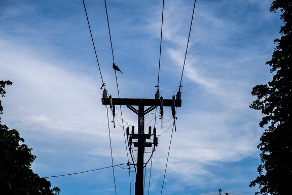 Wired