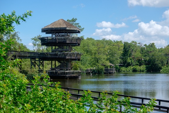 Gatorland Orlando