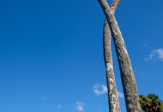 Kennedy Space Center